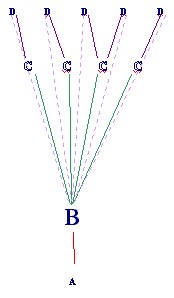 rpp9.jpg (8907 bytes)